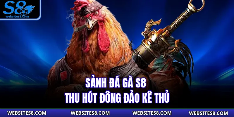 Sảnh đá gà S8 thu hút đông đảo kê thủ 